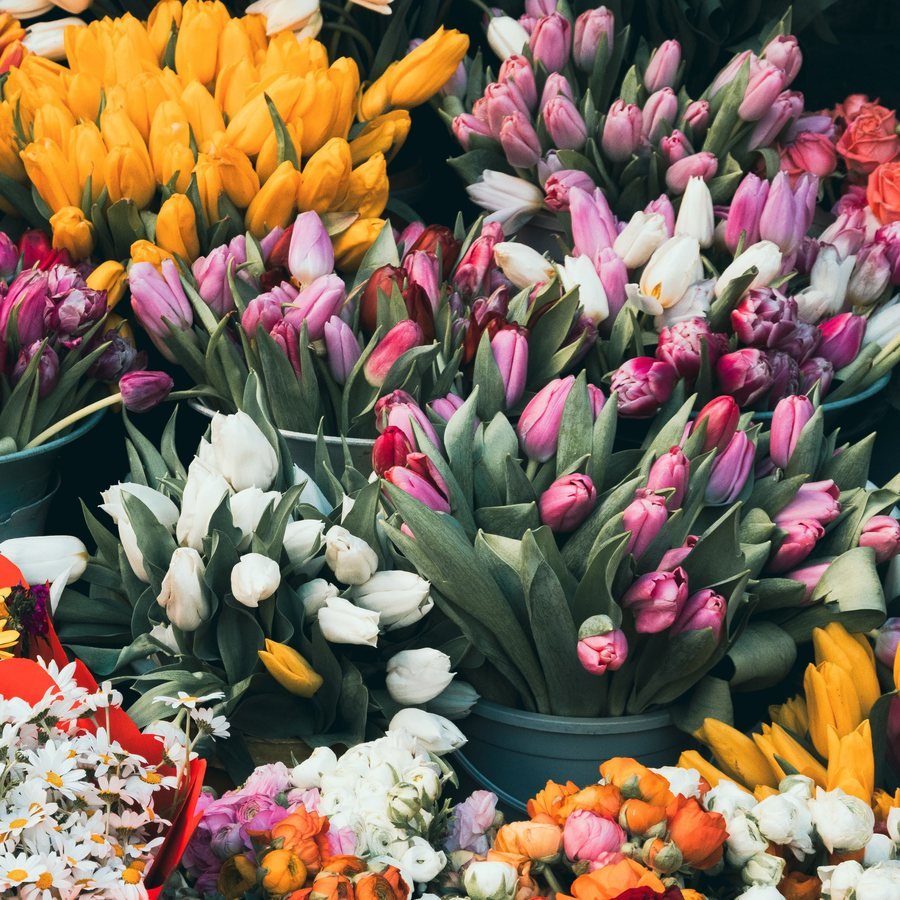 Daily flower selection