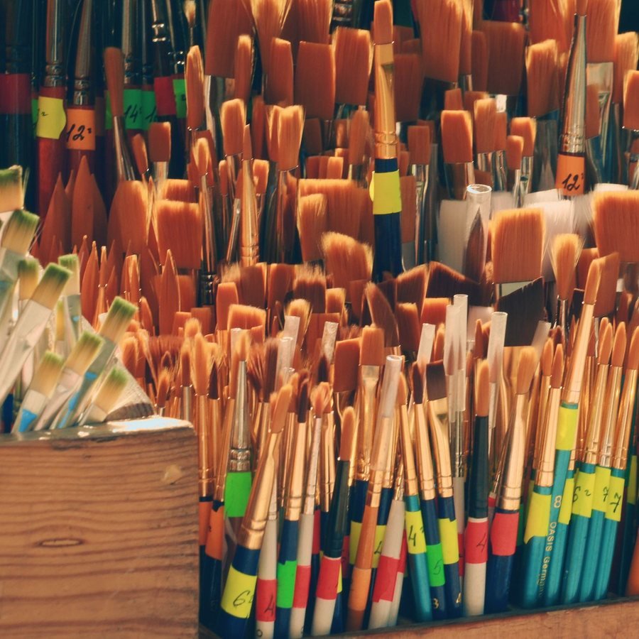 Brush kit Pro