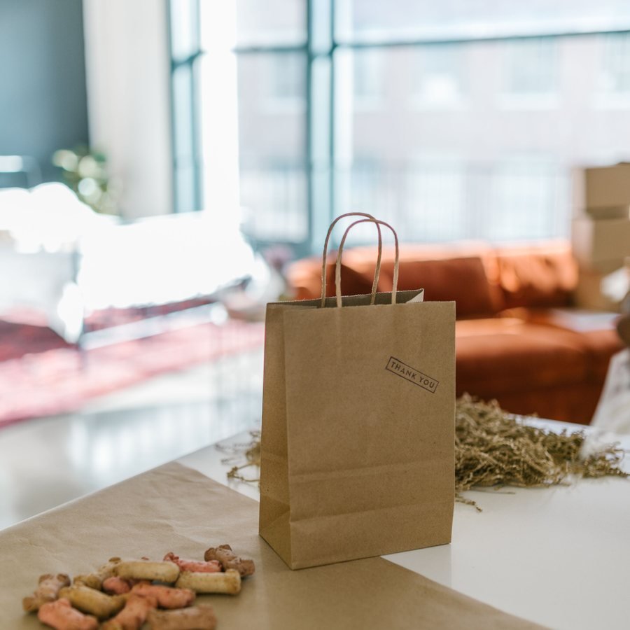 Dog treat bag