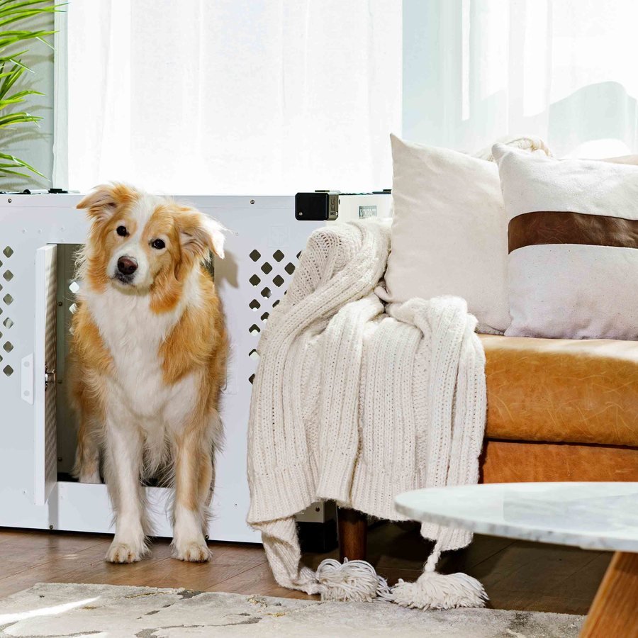 Indoor pet crate