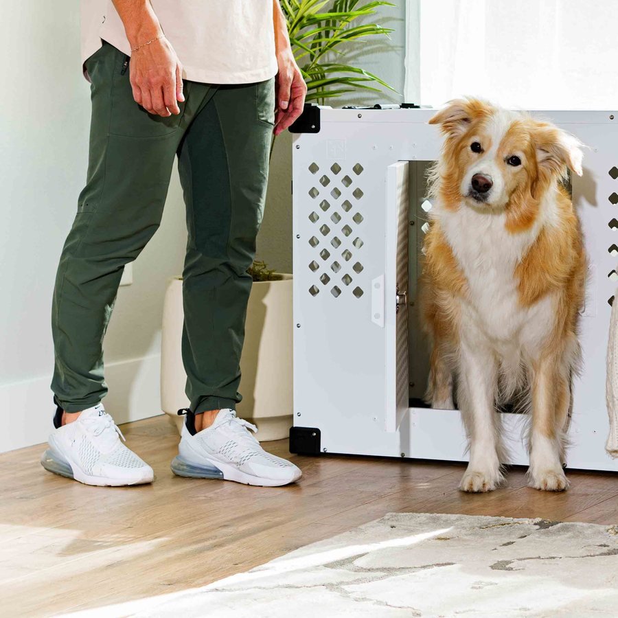 Cozy pet corner